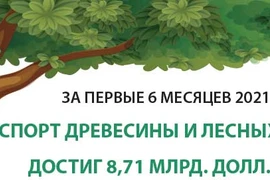 За первые 6 месяцев 2021 года экспорт древесины и лесных товаров достигл 8,71 млрд. долл. США